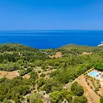 Aetos Vasilikiadhes